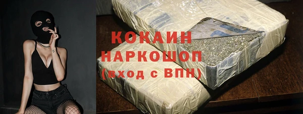 соль ск Бикин