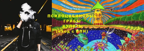 синтетический гашиш Новозыбков