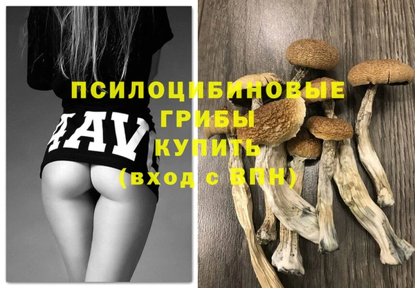 синтетический гашиш Новозыбков