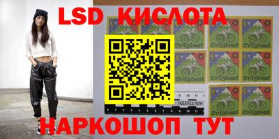 крисы Беслан