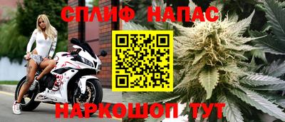 герыч Бийск