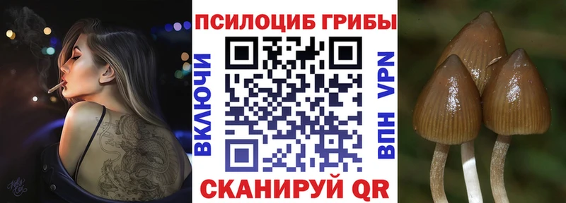 где купить наркотик  Богданович  Галлюциногенные грибы ЛСД 