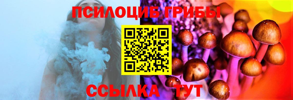 Псилоцибиновые грибы Psilocybine cubensis  купить наркотик  Богданович  Вход с VPN  Галлюциногенные грибы Magic Shrooms 